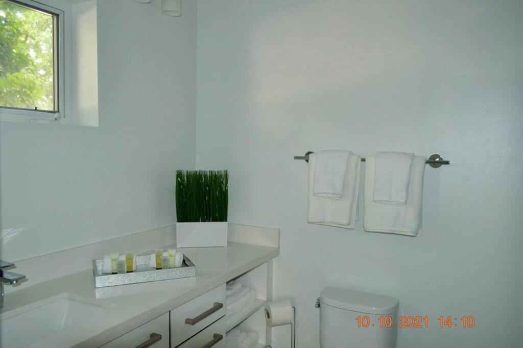 Across The Ocean Few Steps To Beach Contemporary Three Bedroom Townhouse Pompano Beach Εξωτερικό φωτογραφία